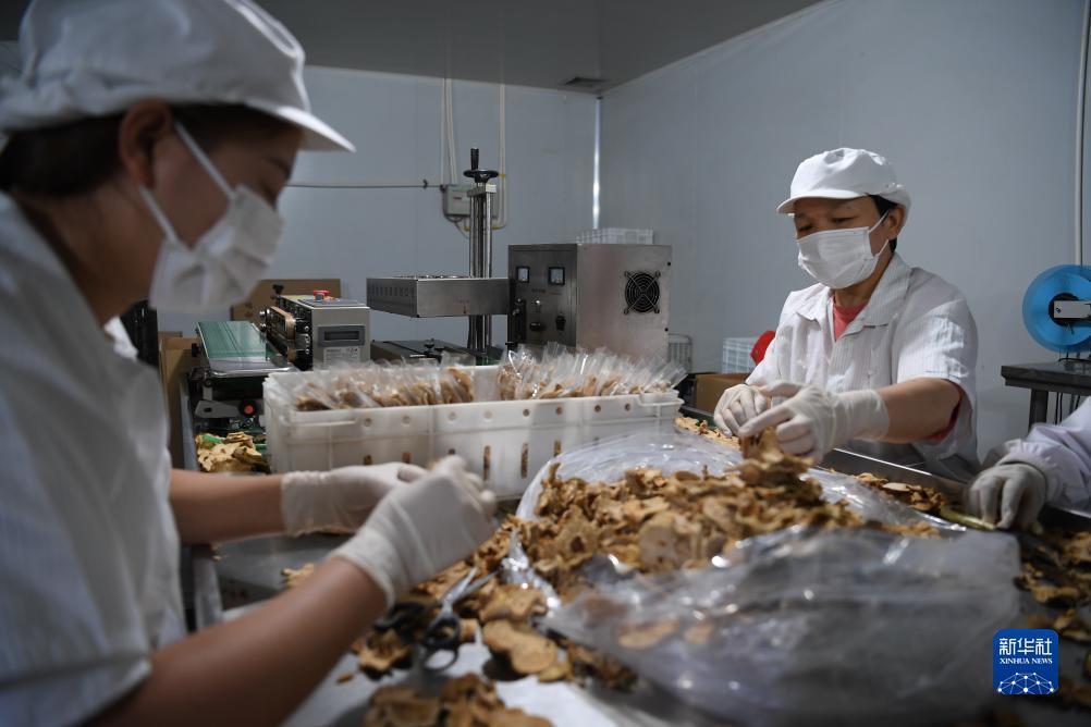 金沙游戏网站有哪些